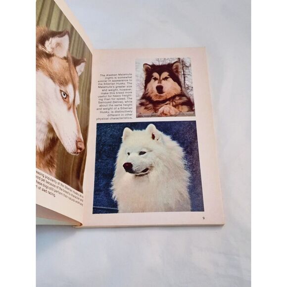 How to Raise and Train a Siberian Husky Paperback Lorna B. Demido 1983 - Picture 10 of 13